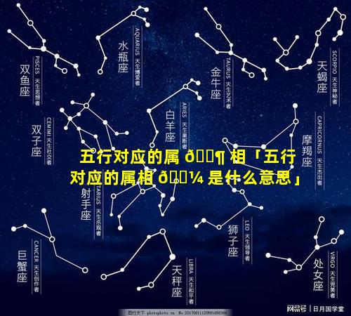 五行对应的属 🐶 相「五行对应的属相 🌼 是什么意思」